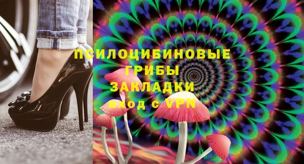 ешки Алзамай
