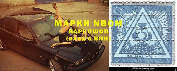 гидра Алексин