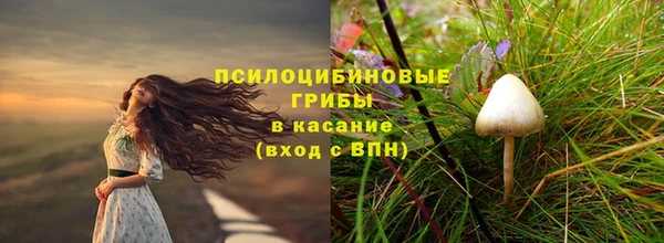 прущая мука Мегион