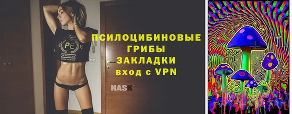 гидра Алексин