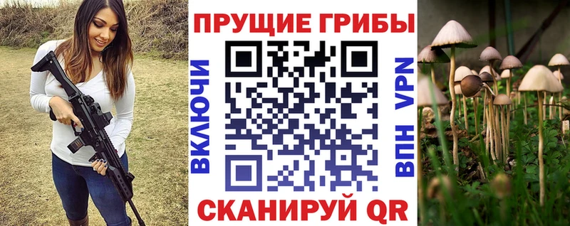 Галлюциногенные грибы MAGIC MUSHROOMS Новоульяновск